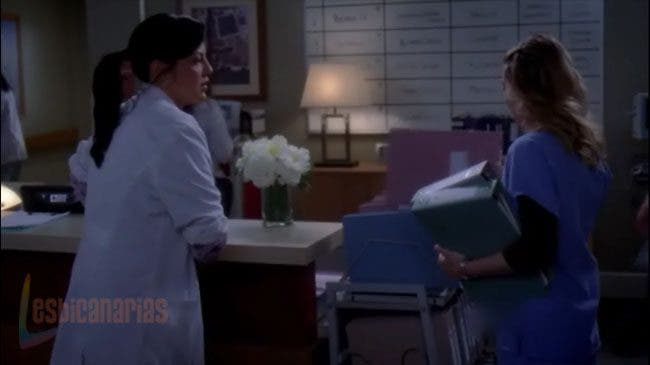 Callie y Arizona 7x03 03