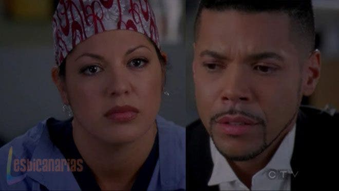 Callie y Arizona 7x12 08