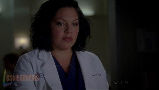 Callie y Arizona 7x12 10