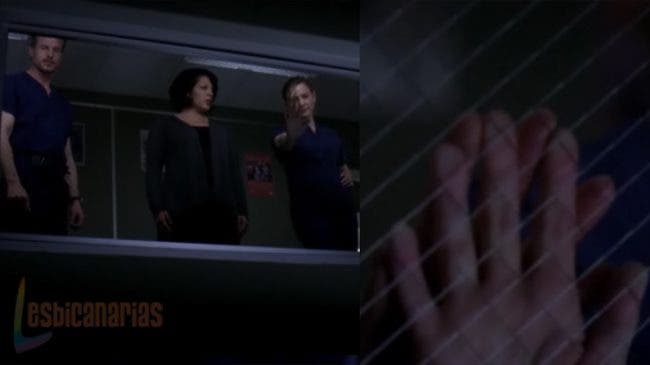 Callie y Arizona 7x18 16