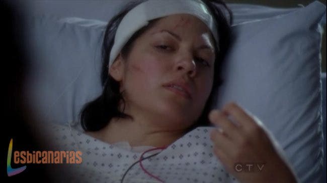 Callie y Arizona 7x19 04