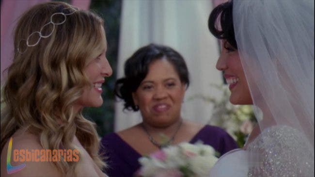 Callie y Arizona resumen de episodio 7×20