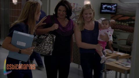 Callie y Arizona 8x01-8x02