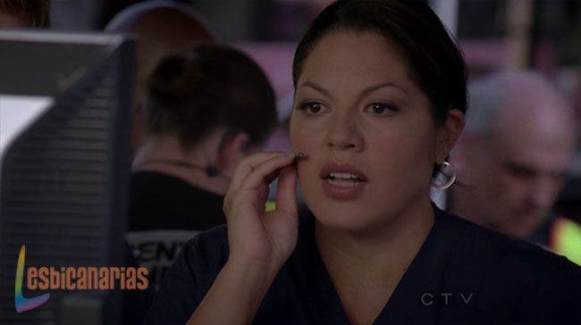 Callie y Arizona 8x01 8x02 04