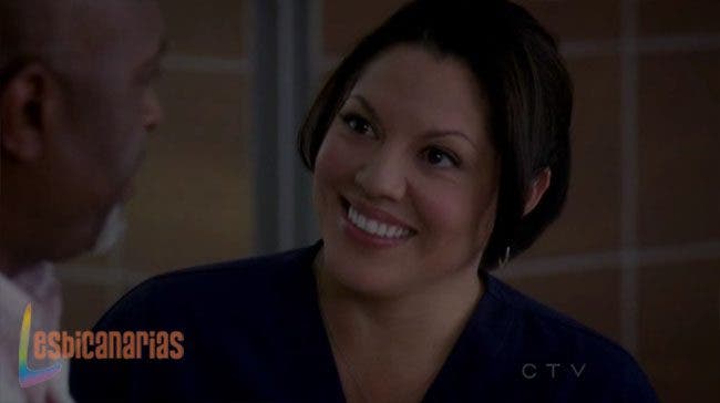 Callie y Arizona 8x01 8x02 05