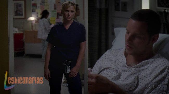 Callie y Arizona 8x01 8x02 07