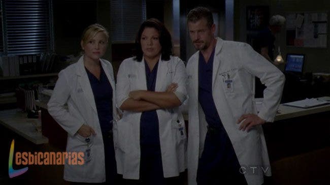 Callie y Arizona 8x01 8x02 08