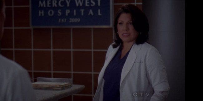 Callie y Arizona 8x03 06