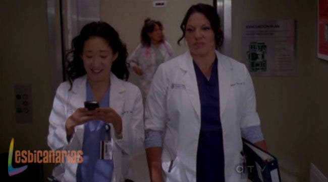 Callie y Arizona 8x06 03