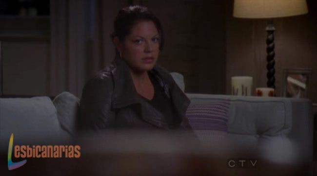 Callie y Arizona 8x06 06