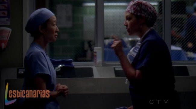 Callie y Arizona 8x06 07