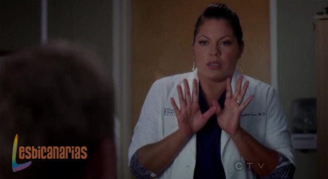 Callie y Arizona 8x07 04