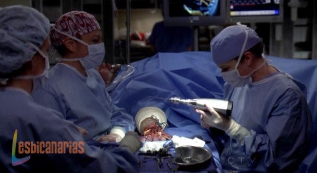 Callie y Arizona 8x07 05