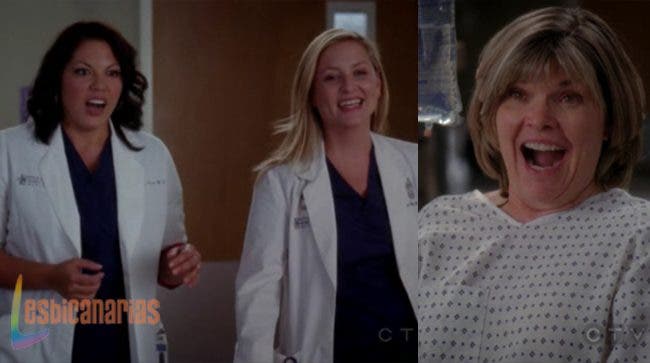 Callie y Arizona 8x08 02