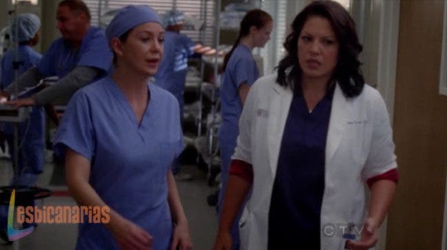 Callie y Arizona 8x08 05