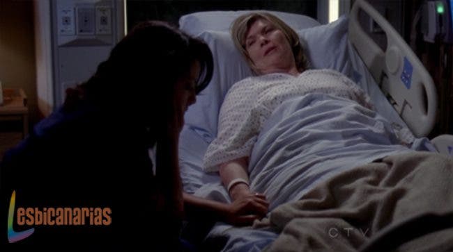 Callie y Arizona 8x08 07