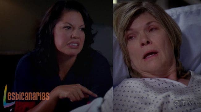 Callie y Arizona 8x08 08