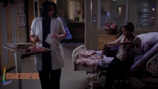 Callie y Arizona 8x09 02