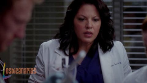 Callie y Arizona 8x09