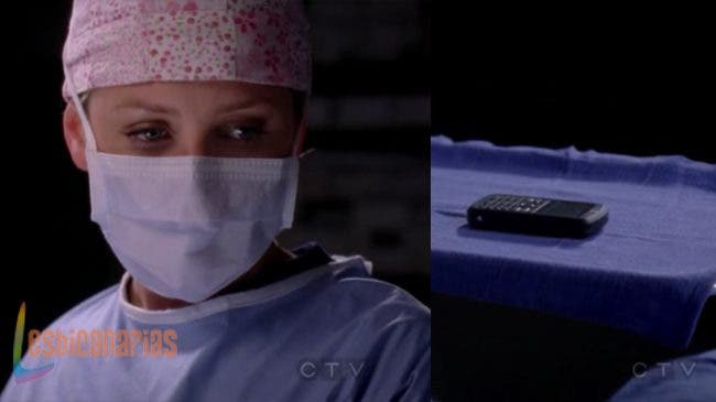 Callie y Arizona 8x09 06