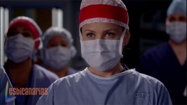 Callie y Arizona 8x11 01