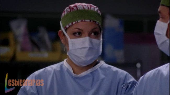 Callie y Arizona 8x11 03