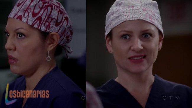 Callie y Arizona 8x11 06