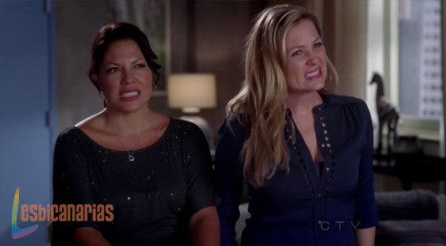 Callie y Arizona resumen de episodio 8×12