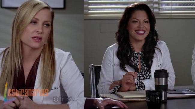 Callie y Arizona 8x13 03