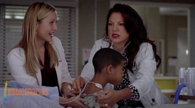 Callie y Arizona resumen de episodio 8×13