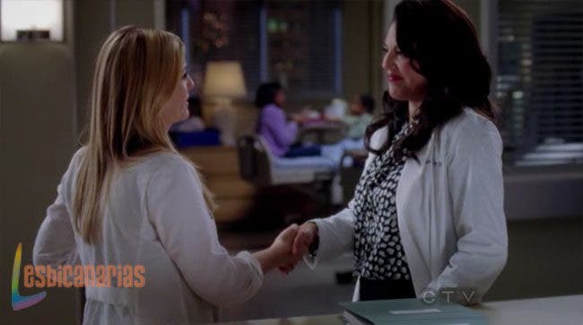 Callie y Arizona 8x13 08