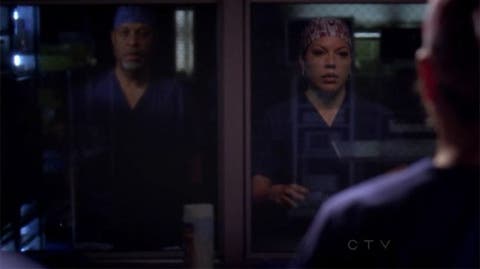 Callie y Arizona 8x15