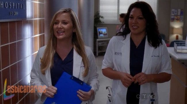 Callie y Arizona 8x18 02