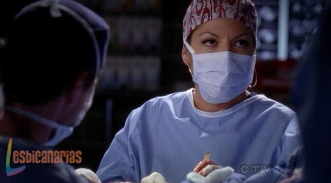 Callie y Arizona 8x18 04