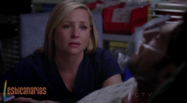 Callie y Arizona 8x23 05