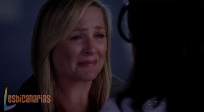 Callie y Arizona 8x23 06