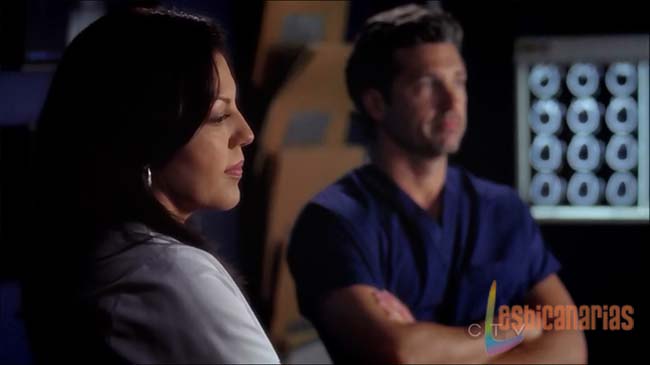 Callie y Derek Escaners