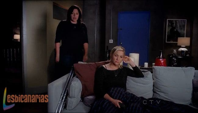 Callie y Arizona resumen de episodio 9×04 Anatomía de Grey