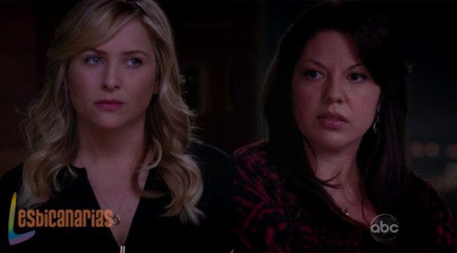 Callie y Arizona resumen de episodio 9×15 Anatomía de Grey