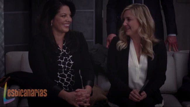 Callie y Arizona sonriendo