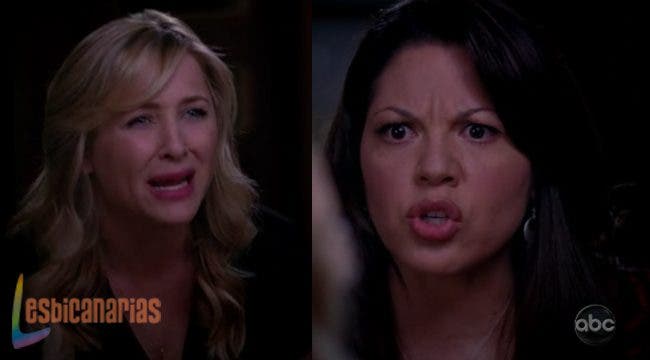 Callie y Arizona ¡Fight!