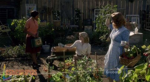 Betty y Kate recogiendo verduras