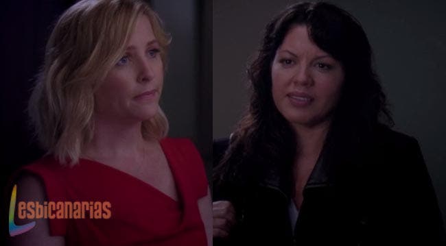 Callie y Arizona: resumen de episodios 10×03