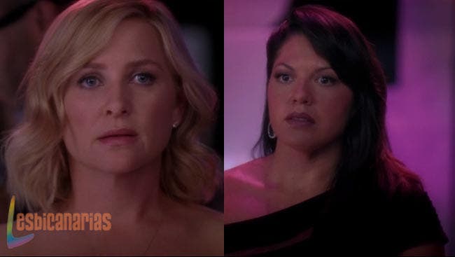 Callie y Arizona: resumen de episodios 10×04