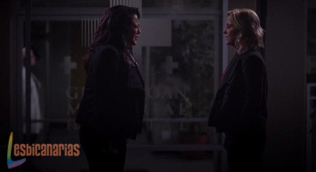 Callie y Arizona