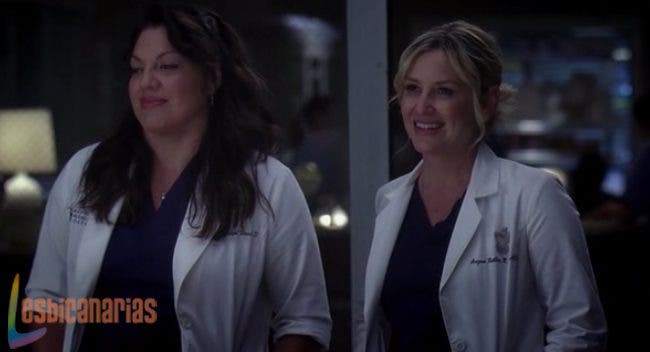 Callie y Arizona: resumen de episodio 10×24 Anatomía de Grey