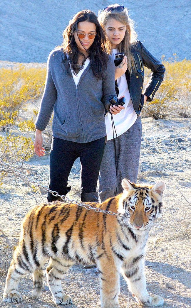 Cara Delevigne y Michelle Rodriguez