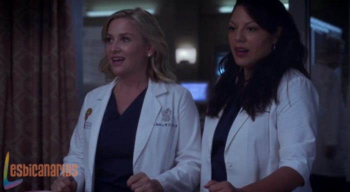 Callie y Arizona: resumen de episodio 11×01 Anatomía de Grey