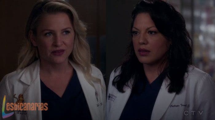 Callie y Arizona: resumen de episodio 11×13 Anatomía de Grey