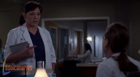 Callie y Arizona 11x18